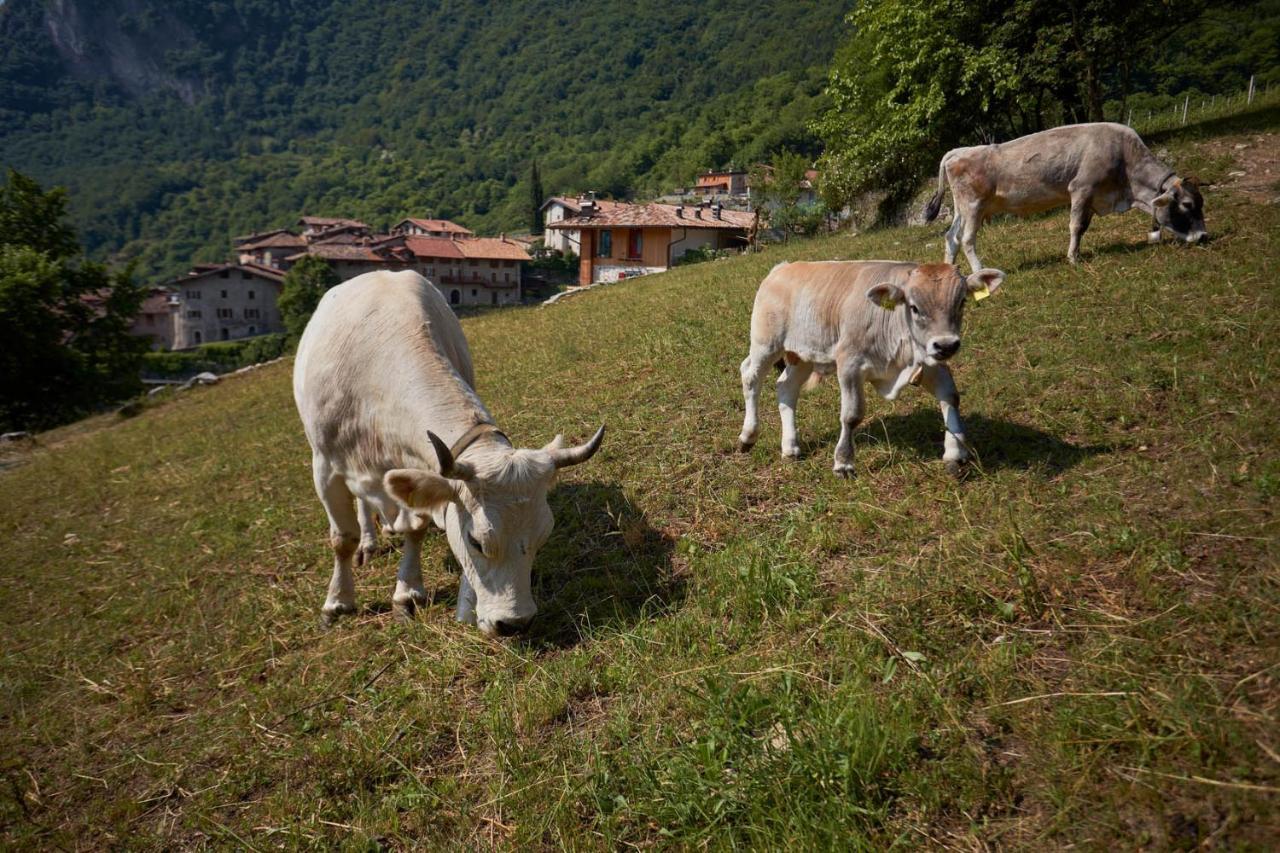 Le Terre Di Gu Villa Tenno Exterior photo